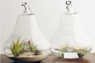 流光溢彩的艺术 玻璃容器设计产品欣赏